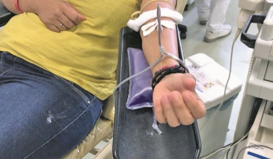 Doar sangue: um gesto que salva vidas - Blog Assemp BH