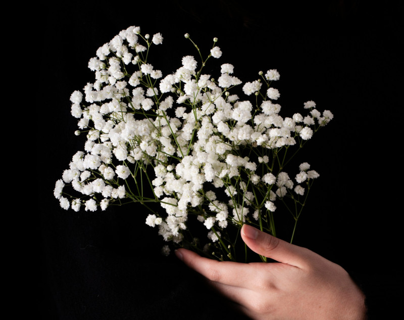 Novo benefício: plano funerário para todos os associados - Blog Assemp BH